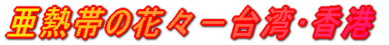 亜熱帯の花々−台湾・香港