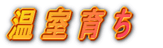 温室育ち